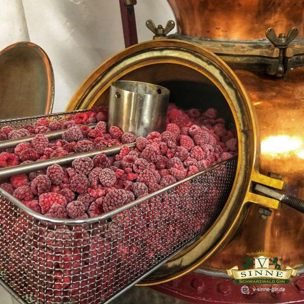 V-Sinne - Raspberry Magic Gin 40%