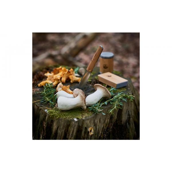 HORL - HORL2 - Eiche