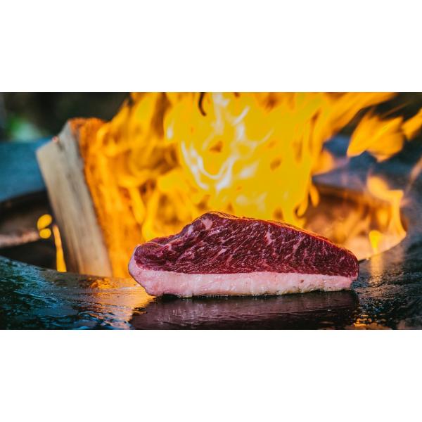 2025 Grill-Seminar Der Anfang