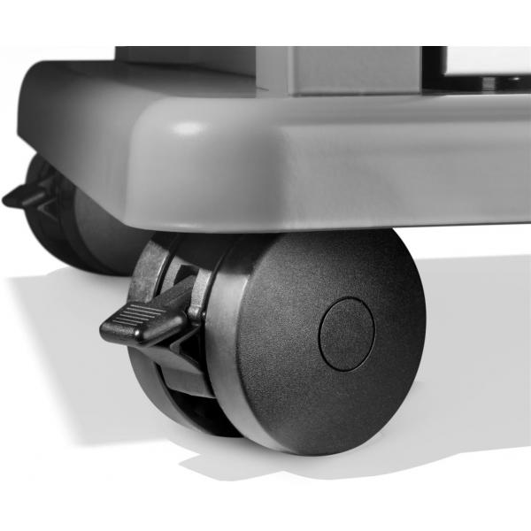 Napoleon - Rogue PRO-S 425 mit Gußrosten, Schwarz, inkl. Drehspieß