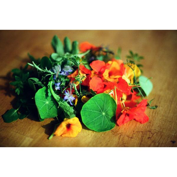 2025 Grill-Seminar Street-Food